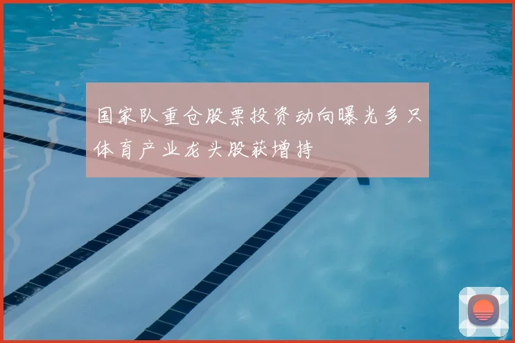国家队重仓股票投资动向曝光多只体育产业龙头股获增持