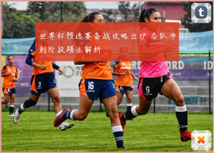 世界杯预选赛备战攻略出炉 各队冲刺阶段踢法解析