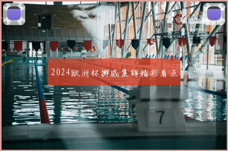 2024欧洲杯挪威集锦精彩看点