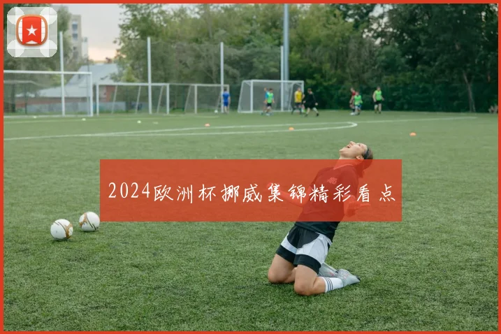2024欧洲杯挪威集锦精彩看点