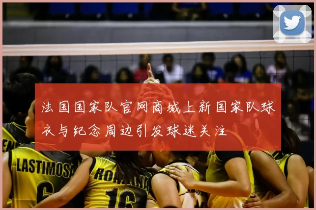 法国国家队官网商城上新国家队球衣与纪念周边引发球迷关注