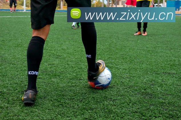 App Interface Preview