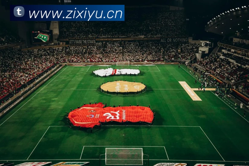 滚球官网appAPP 封面图